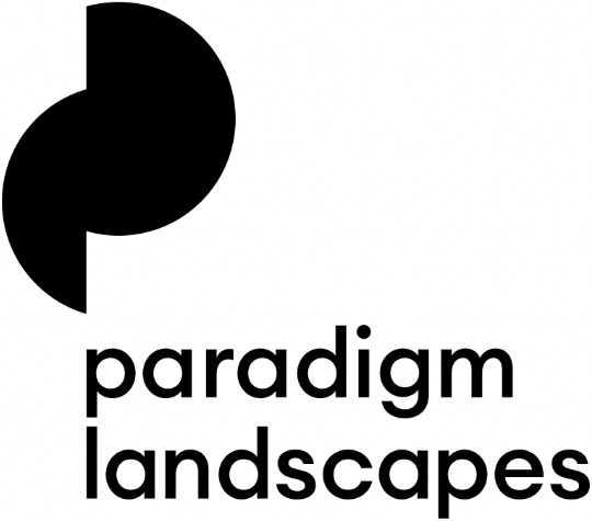 Paradigm Landscapes