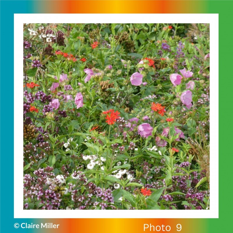 My 2026 Story Creating Calendar