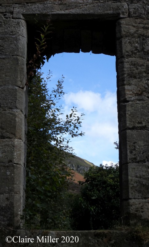 Photo inspiration - What do you see out of this window?