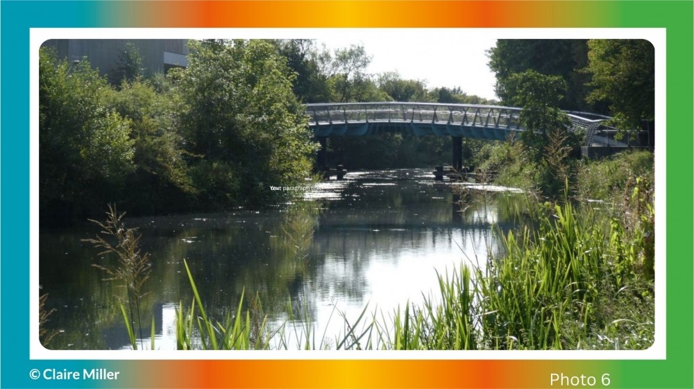 My 2026 Story Creating Calendar