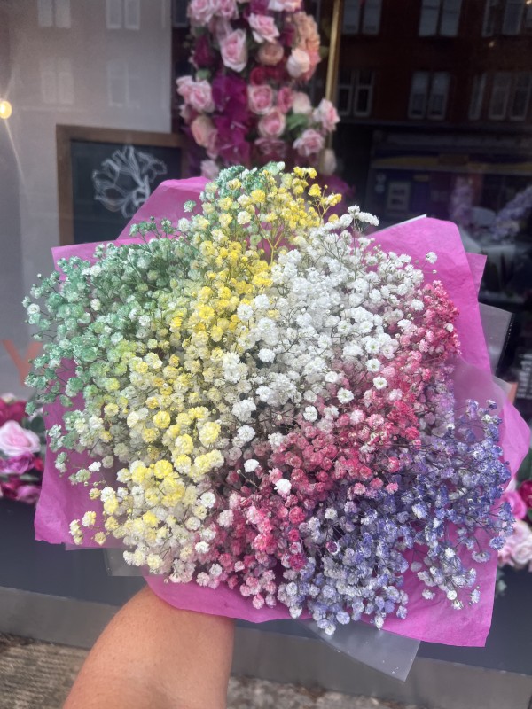 Rainbow Gyp Bouquets 