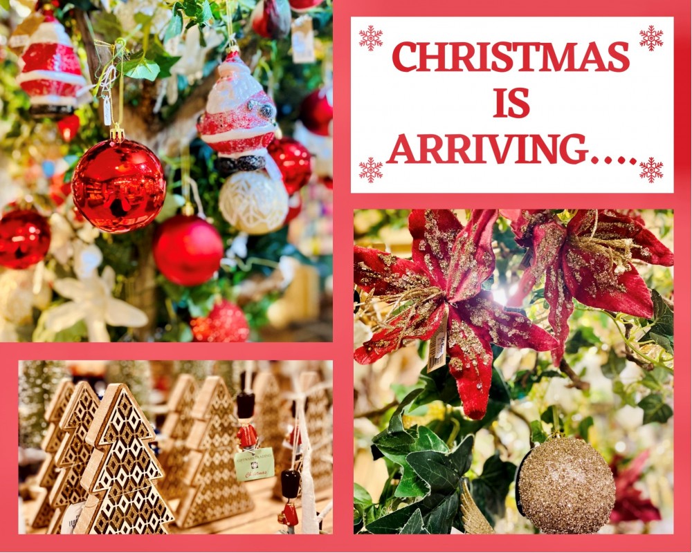 Christmas stock now arriving!