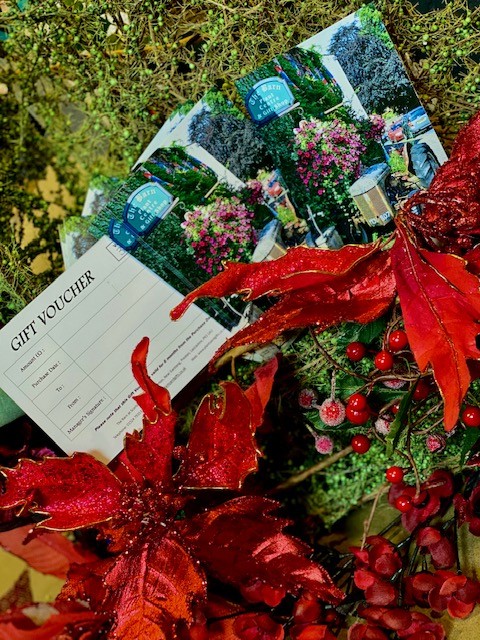 Gift Vouchers