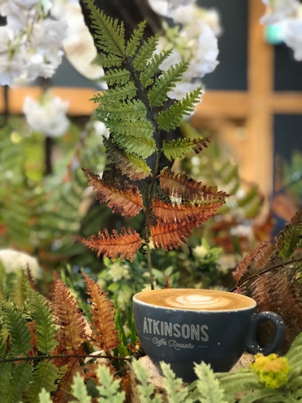 Morning Coffee